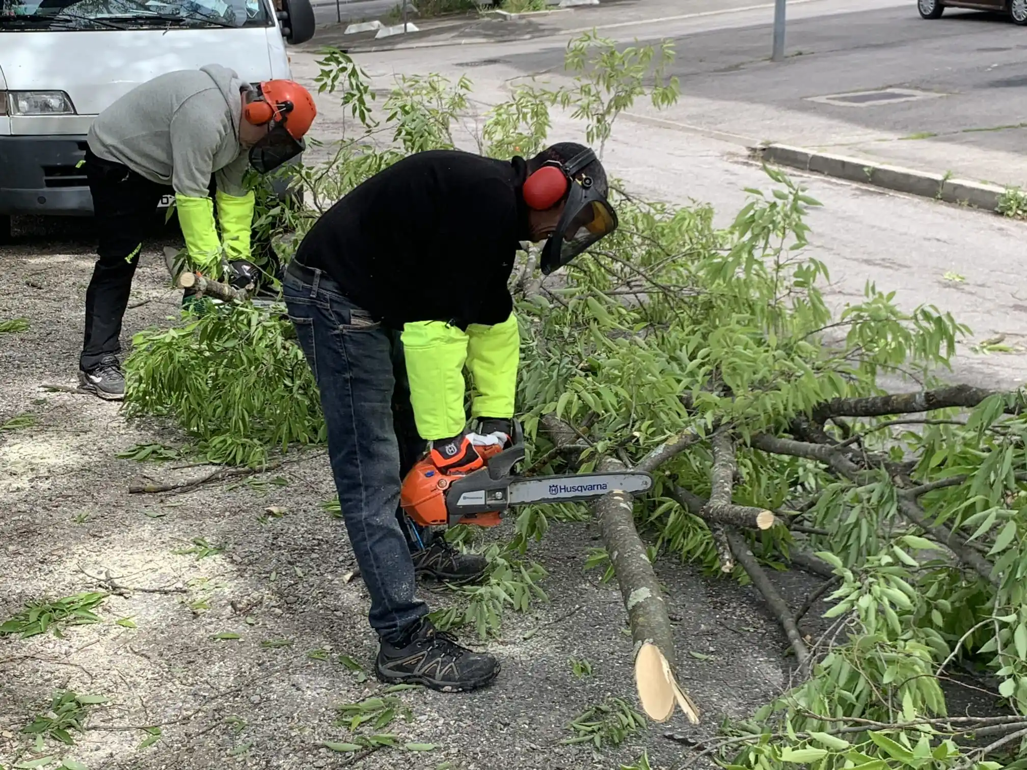Agents des espaces verts réalisant des travaux d'élagage et d'entretien paysager.