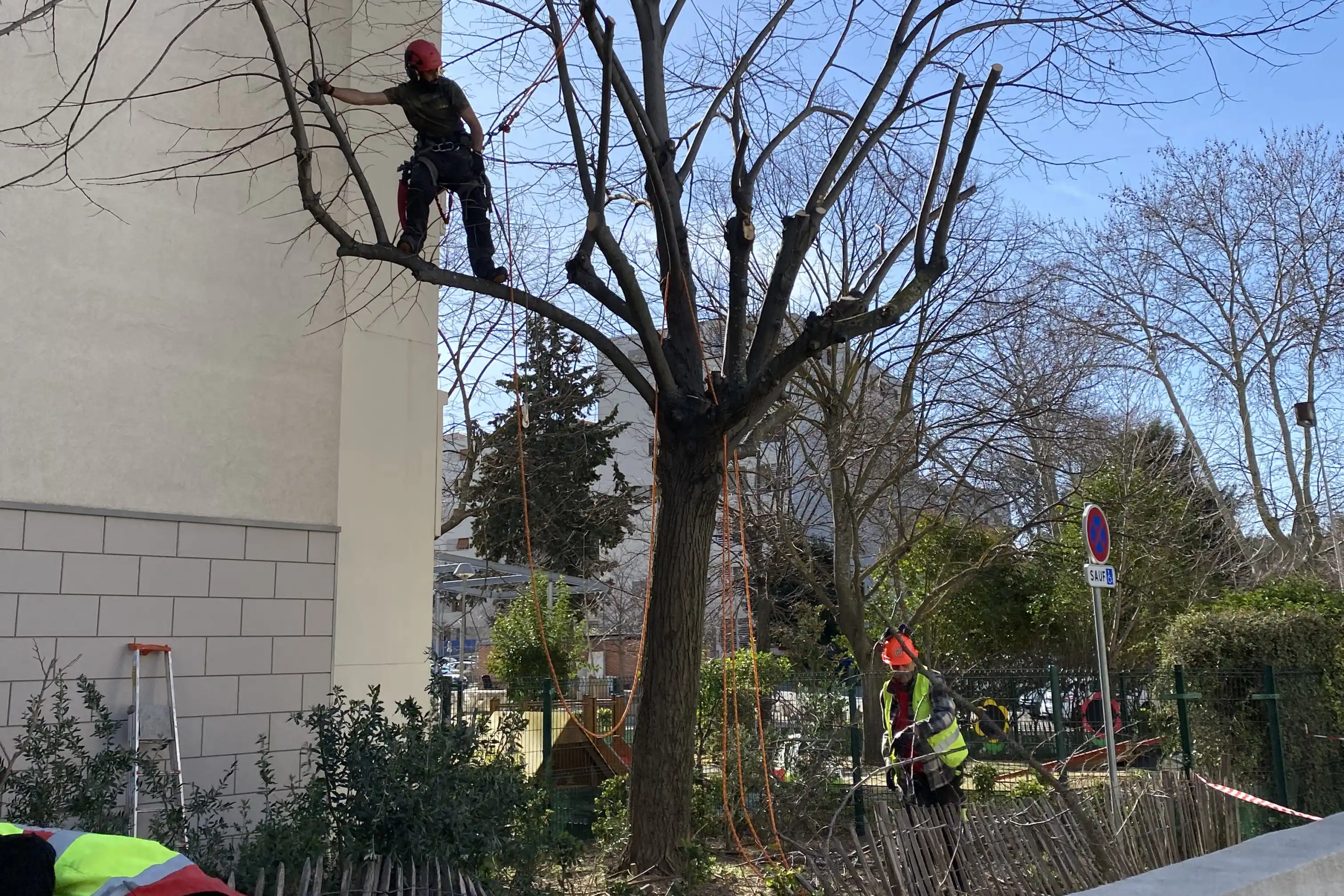 Taille et entretien d'arbres par les équipes espaces verts de la Régie du Pays d'Aix.